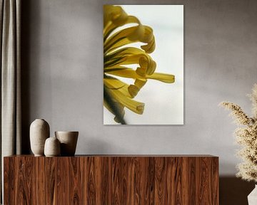 Bright Yellow Flower Abstract