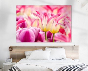 Tulpen Roze -Geel -Wit van Marco Liberto