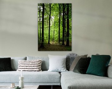 Licht tussen de bomen in het bos van Corinne Welp