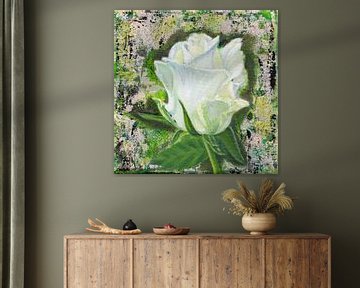 Witte Roos van StudiJoannArt