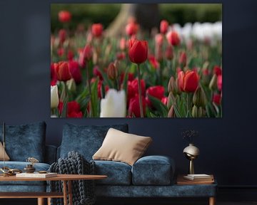 Rode tulpenveld van Monique Zielman
