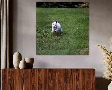 PUPPY POWER by Monique Zielman