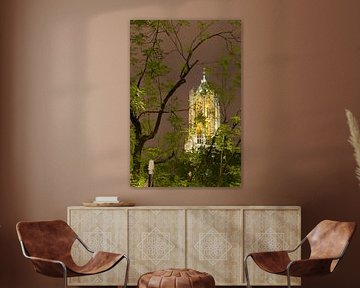 Tour Dom d'Utrecht sur Martien Janssen