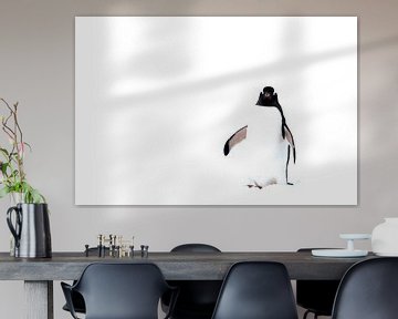 High key Foto van Gentoo pinguin Antartica van DievanFi