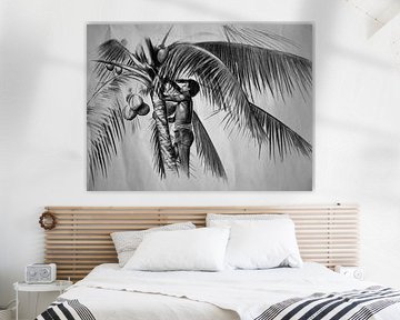 Palmboom illustratie