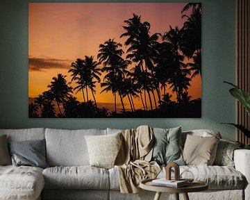 Palmen-Sonnenuntergang von deplaatvankaat