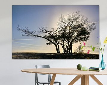 Silhouet in de Soester Duinen van Enfocado Fotografia