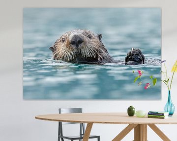 Une loutre de mer dans les eaux bleues de l'Alaska sur Menno Schaefer