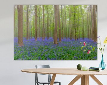 Wilde hyacinten bloemen in het bos in het voorjaar