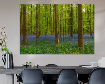 Wilde hyacinten bloemen in het bos in het voorjaar
