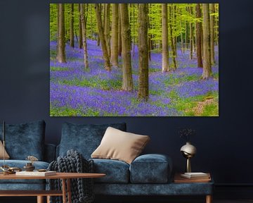 Wilde hyacinten bloemen in het bos in het voorjaar