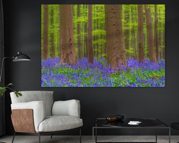 Wilde hyacinten bloemen in het bos in het voorjaar