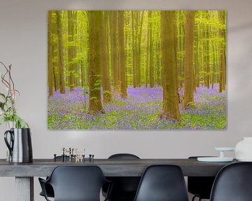 Wilde hyacinten bloemen in het bos in het voorjaar
