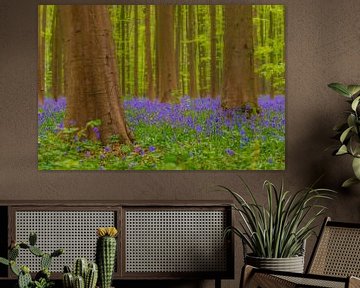 Wilde hyacinten bloemen in het bos in het voorjaar