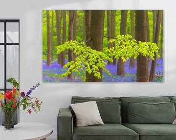 Wilde hyacinten bloemen in het bos in het voorjaar