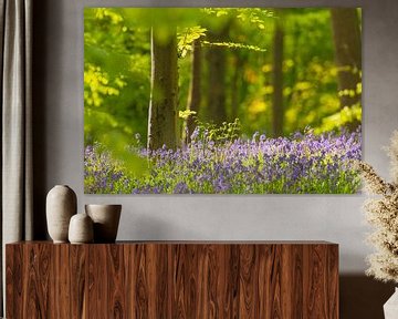Wilde hyacinten bloemen in het bos in het voorjaar