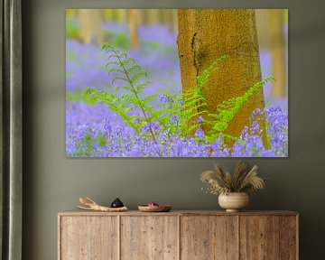 Wilde hyacinten bloemen in het bos in het voorjaar