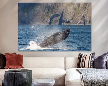Springende bultrug walvis in Alaska