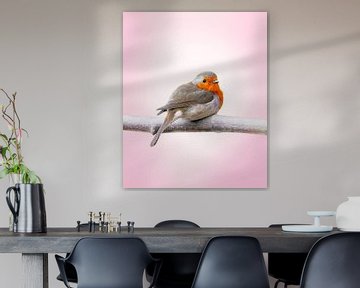 Roodborst op tak in lieflijke sfeer van Edwin Alexander