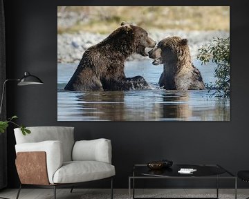 Twee grizzly beren  van Menno Schaefer