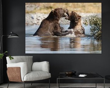Twee grizzly beren  van Menno Schaefer