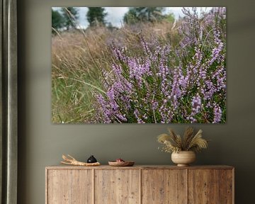 Stroese Heide