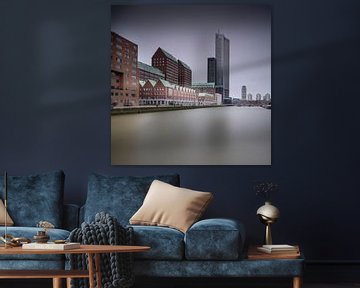 Rotterdamwoningen vanop het water. van Johan Cusseneers