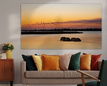 Chobe National Park van Veerle Beeckmans