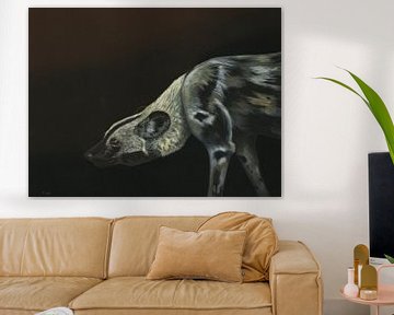 Afrikanischer Wildhund, Lycaon pictus