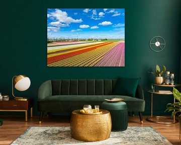 Tulpen in een veld met wolken erboven in de lente