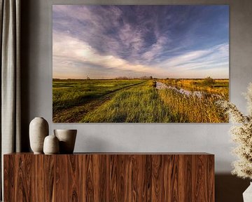 Natuurgebied De Onlanden van Erwin Gorter