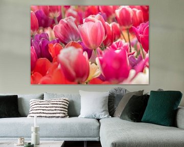 Tulpen Mix roze  2025 van Marco Liberto