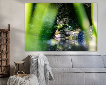 Kikkerduet bij de tuinvijver van Your Happy Life