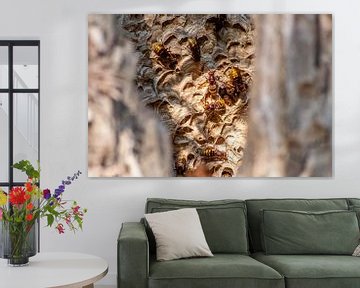 Inzicht in het wespennest van Your Happy Life