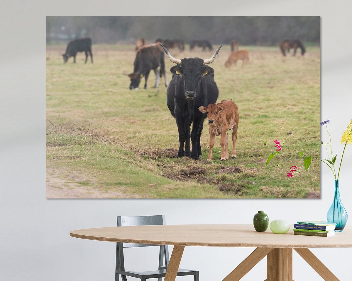 Voorbeeld van het werk in een kamer