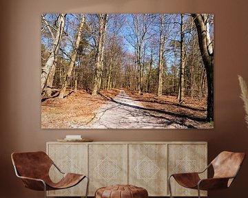 Forest path in 't Leesten in the Veluwe by Merijn Loch