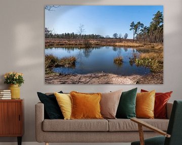Vennetje in 't Leesten op de Veluwe