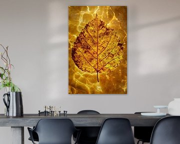 Herfstblad drijvend in water van Art & Soul Creations