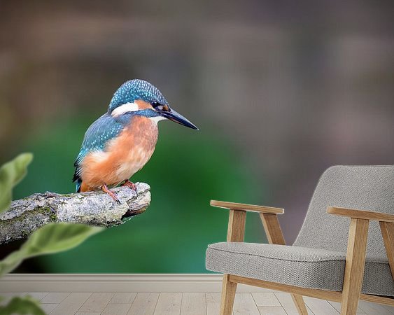 Raumvorschau