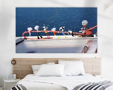 Fubby's die een lijn lieren van een Zeilboot. van Sailographic Paula