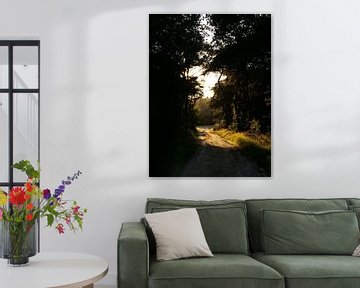 Forest path sunset by SiS4you