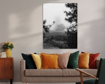 black and white moorland fog by SiS4you