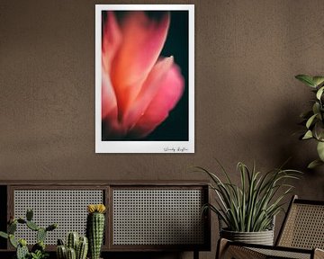 Flower Wisdom von Wendy Leyten