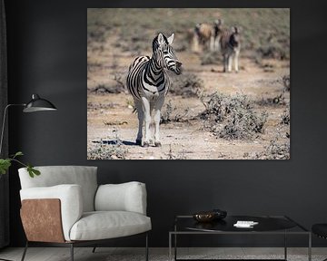 Zebra's - Etosha National Park, Namibië van John Flemington