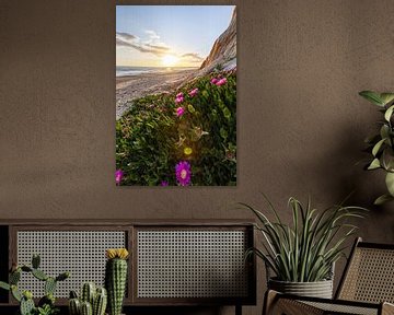 Zonsondergang op het zandstrand Praia da Falésia. Kliffen Roze bloemen bij Albufeira, Portugal van Fotos by Jan Wehnert