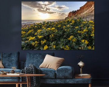 Zonsondergang op het zandstrand Praia da Falésia. Gele bloemen op een klif in Albufeira, Portugal van Fotos by Jan Wehnert