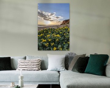 Zonsondergang op het zandstrand Praia da Falésia. Gele bloemen op een klif in Albufeira, Portugal van Fotos by Jan Wehnert