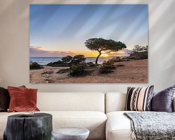 Zonsondergang op het zandstrand Praia da Falésia. Kliffen, een boom bij Albufeira, Portugal van Fotos by Jan Wehnert