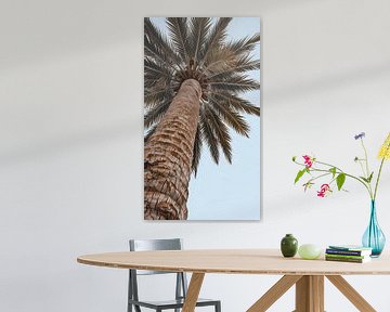 Reaching for the Algerian Sky by Artistic