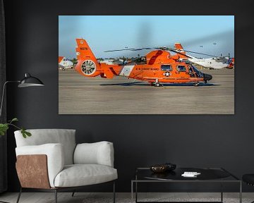 U.S. Coast Guard Aérospatiale MH-65D Dolphin. van Jaap van den Berg